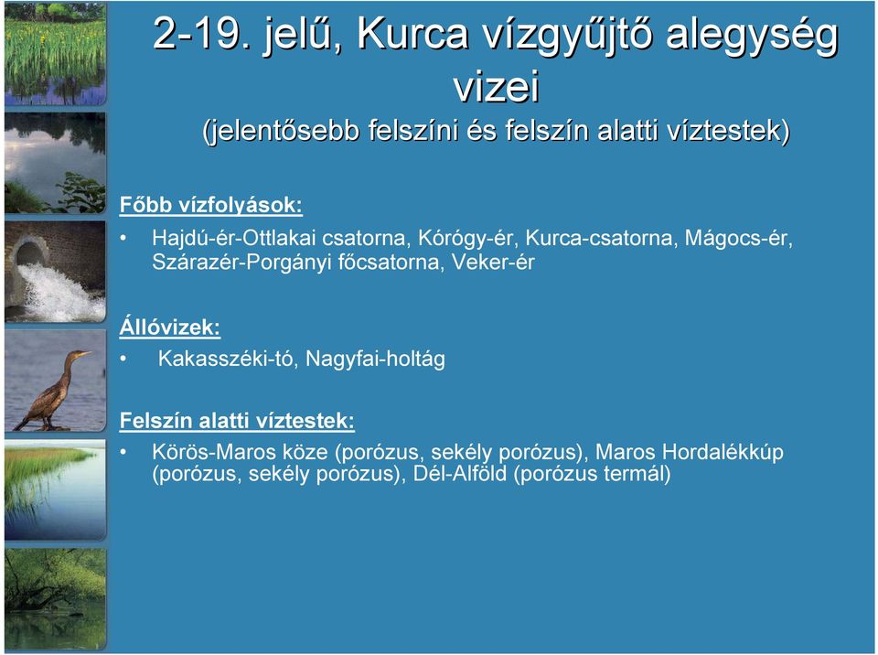 főcsatorna, Veker-ér Állóvizek: Kakasszéki-tó, Nagyfai-holtág Felszín alatti víztestek: Körös-Maros