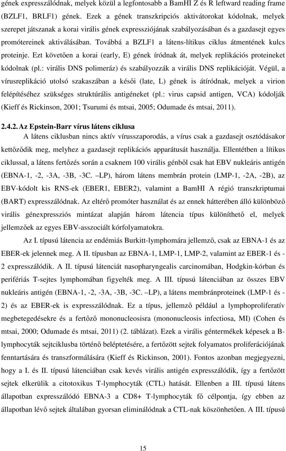 Továbbá a BZLF1 a látens-lítikus ciklus átmentének kulcs proteinje. Ezt követően a korai (early, E) gének íródnak át, melyek replikációs proteineket kódolnak (pl.