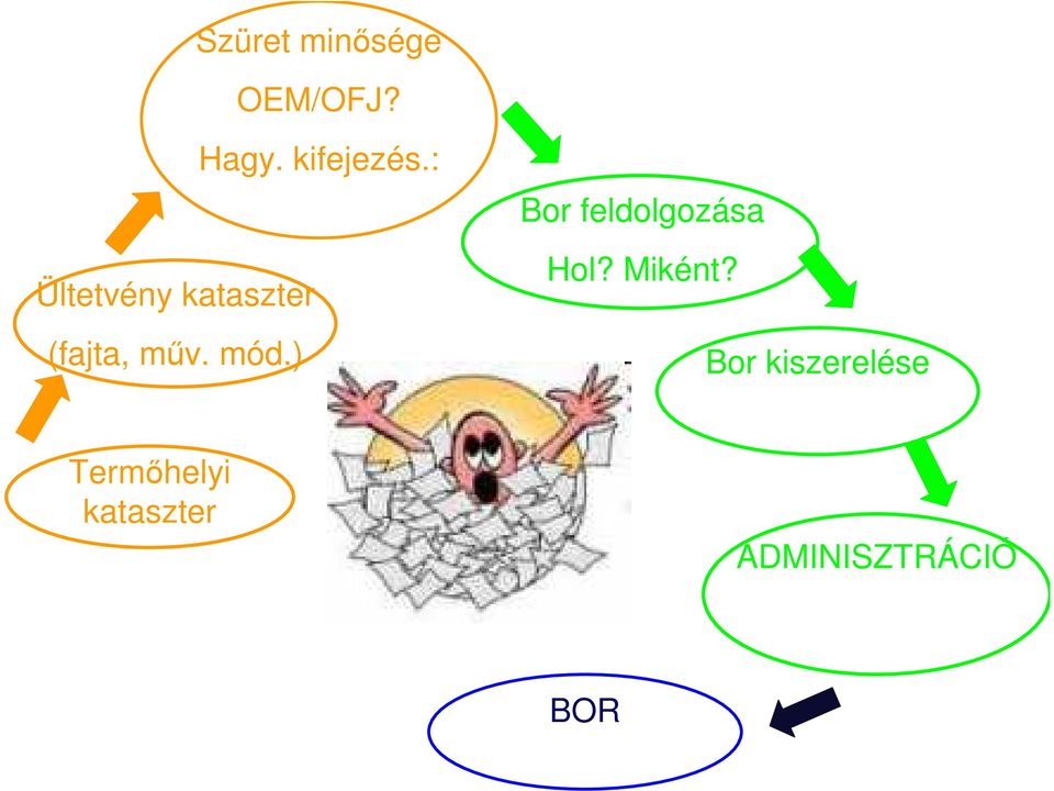 ) Hagy. kifejezés.: Bor feldolgozása Hol?