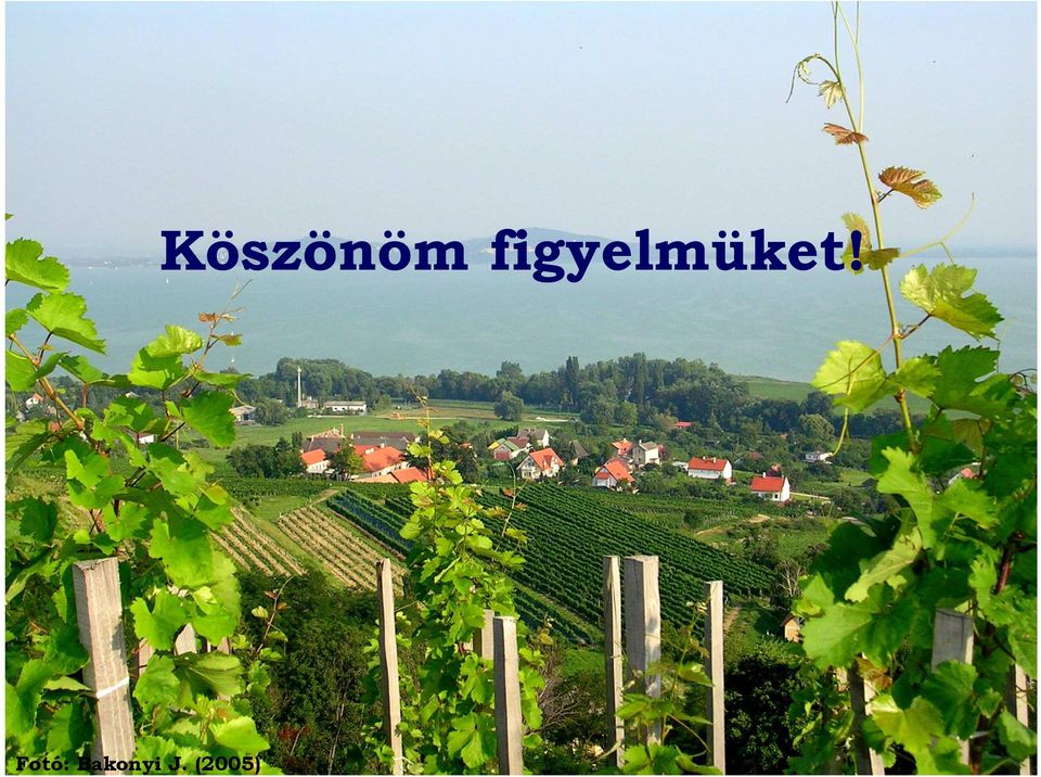 (2005)
