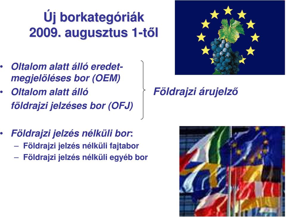 Oltalom alatt álló földrajzi jelzéses bor (OFJ) Földrajzi