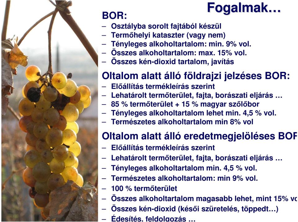 szőlőbor Tényleges alkoholtartalom lehet min. 4,5 % vol.
