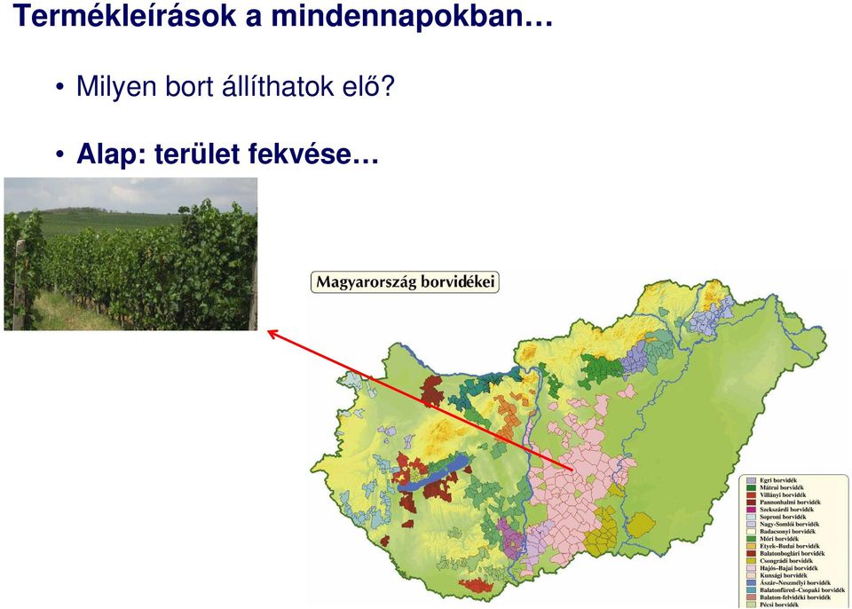 bort állíthatok elő?