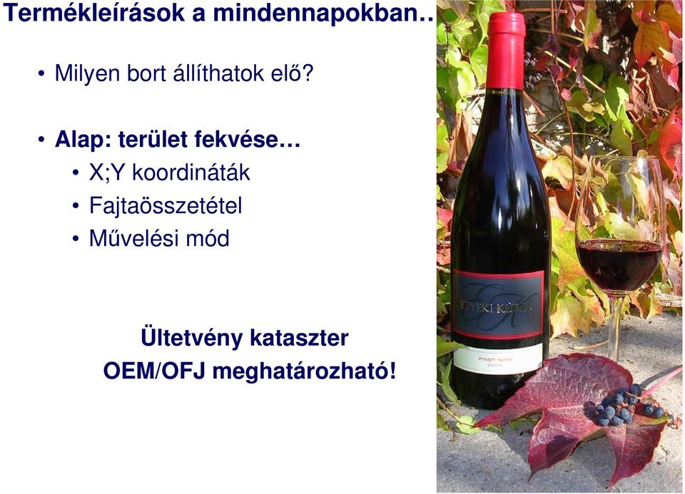 Alap: terület fekvése X;Y koordináták