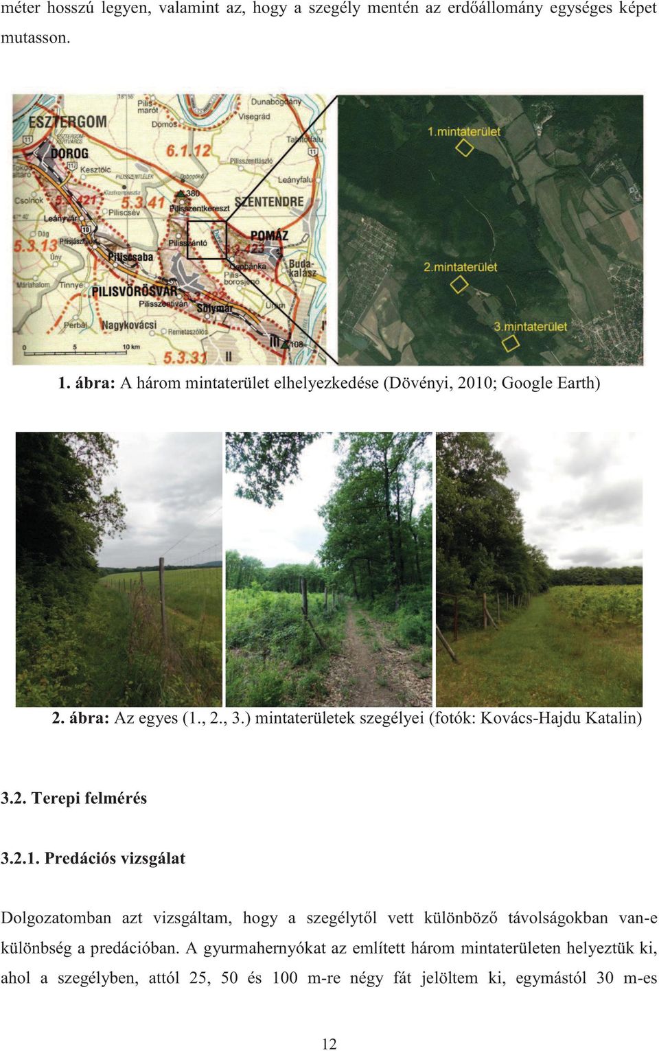 ) mintaterületek szegélyei (fotók: Kovács-Hajdu Katalin) 3.2. Terepi felmérés 3.2.1.