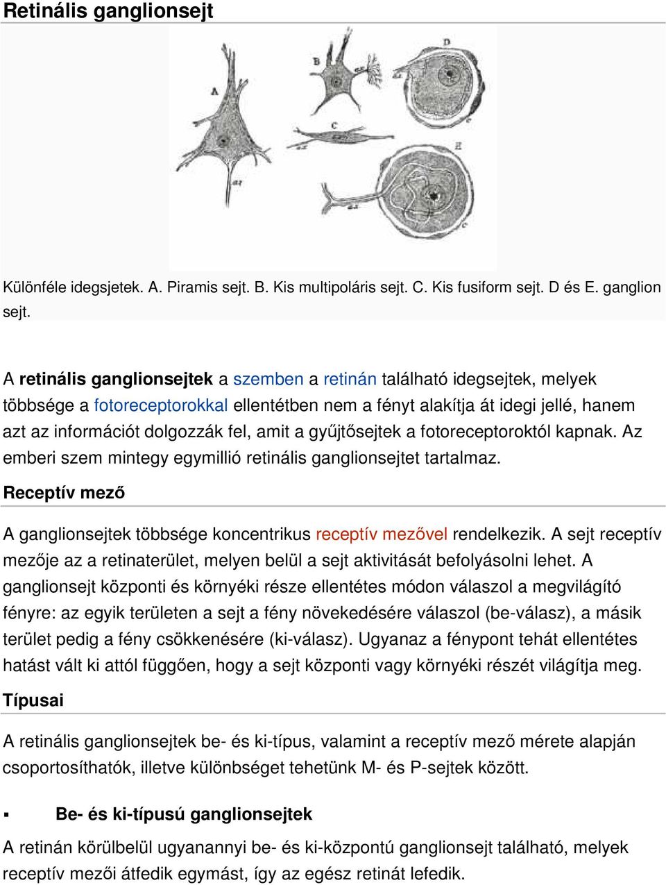 a győjtısejtek a fotoreceptoroktól kapnak. Az emberi szem mintegy egymillió retinális ganglionsejtet tartalmaz. Receptív mezı A ganglionsejtek többsége koncentrikus receptív mezıvel rendelkezik.