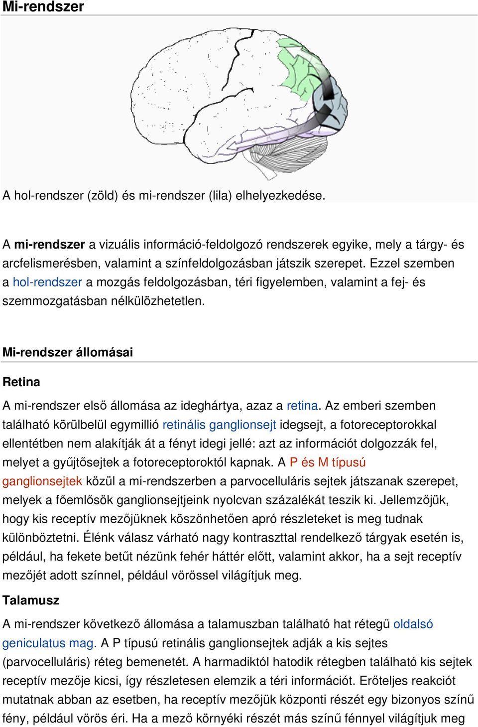 Ezzel szemben a hol-rendszer a mozgás feldolgozásban, téri figyelemben, valamint a fej- és szemmozgatásban nélkülözhetetlen.