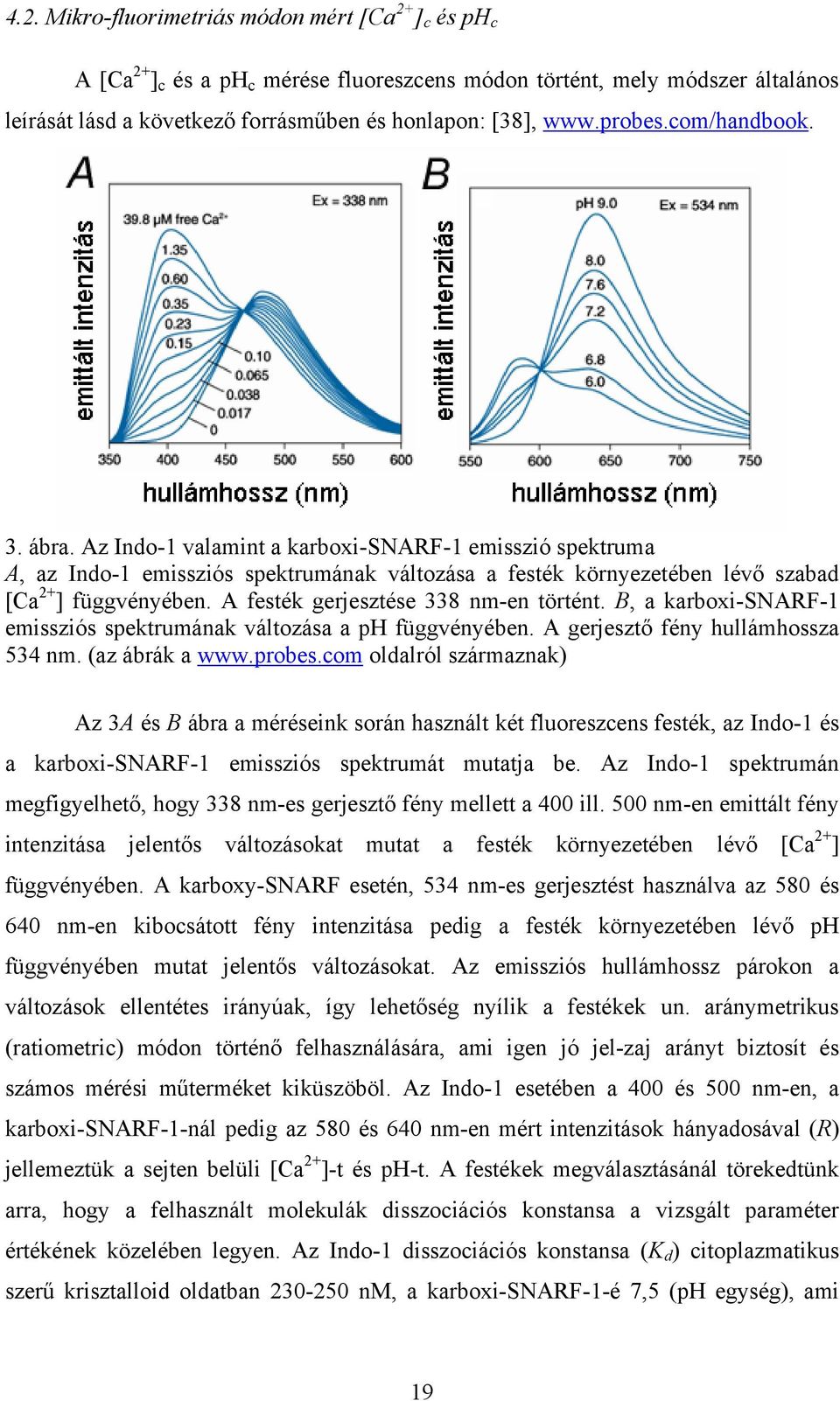 A festék gerjesztése 338 nm-en történt. B, a karboxi-snarf-1 emissziós spektrumának változása a ph függvényében. A gerjesztő fény hullámhossza 534 nm. (az ábrák a www.probes.