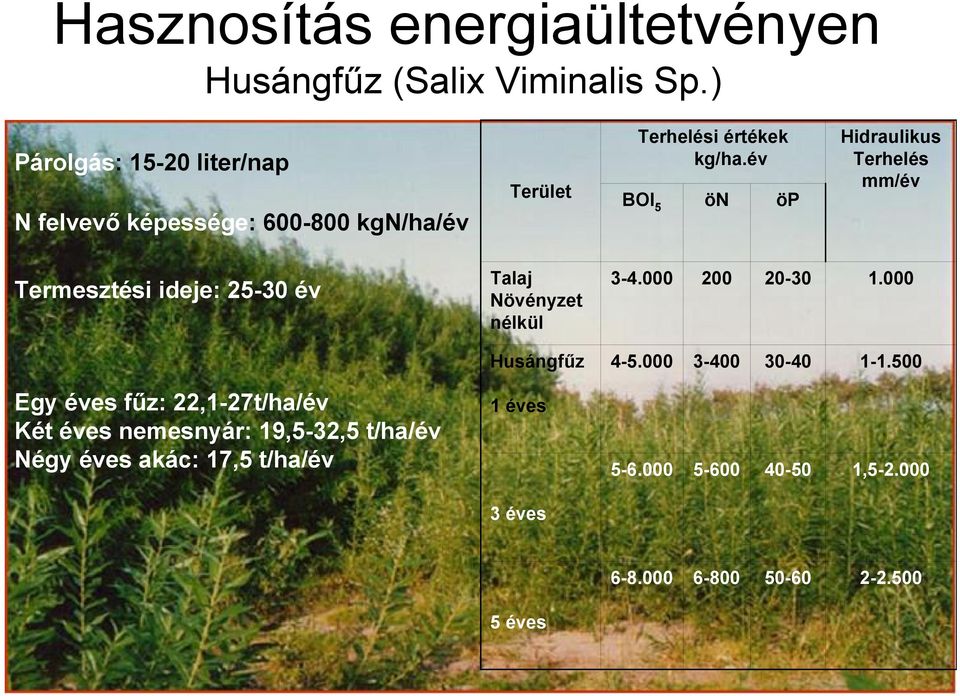 év BOI 5 ön öp Hidraulikus Terhelés mm/év Termesztési ideje: 25-30 év Egy éves fűz: 22,1-27t/ha/év Két éves nemesnyár: