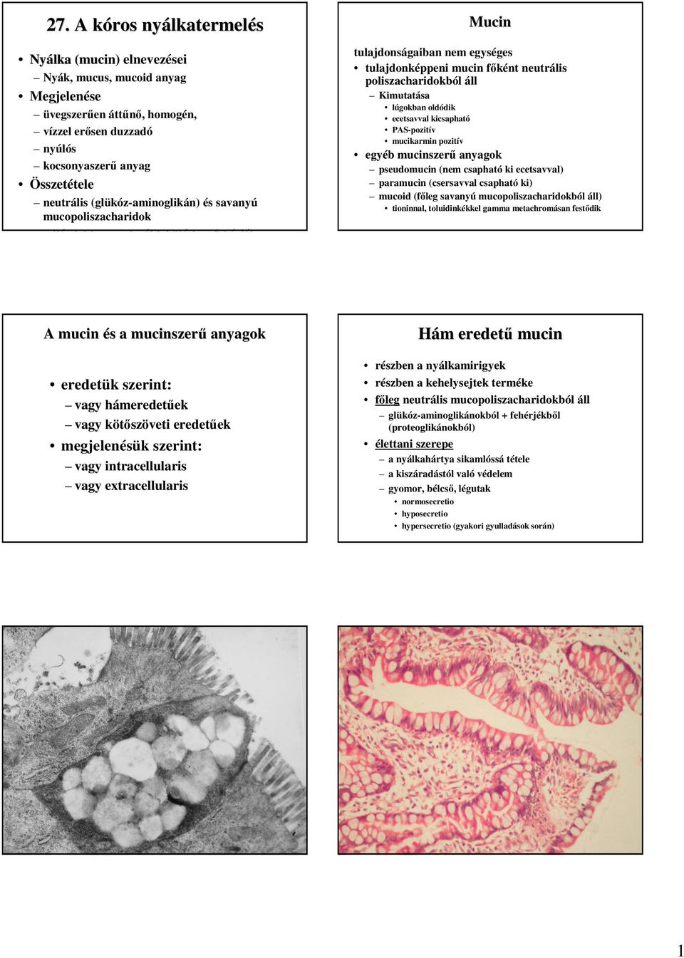 áll Kimutatása lúgokban oldódik ecetsavval kicsapható PAS-pozitív mucikarmin pozitív egyéb mucinszerő anyagok pseudomucin (nem csapható ki ecetsavval) paramucin (csersavval csapható ki) mucoid (fıleg