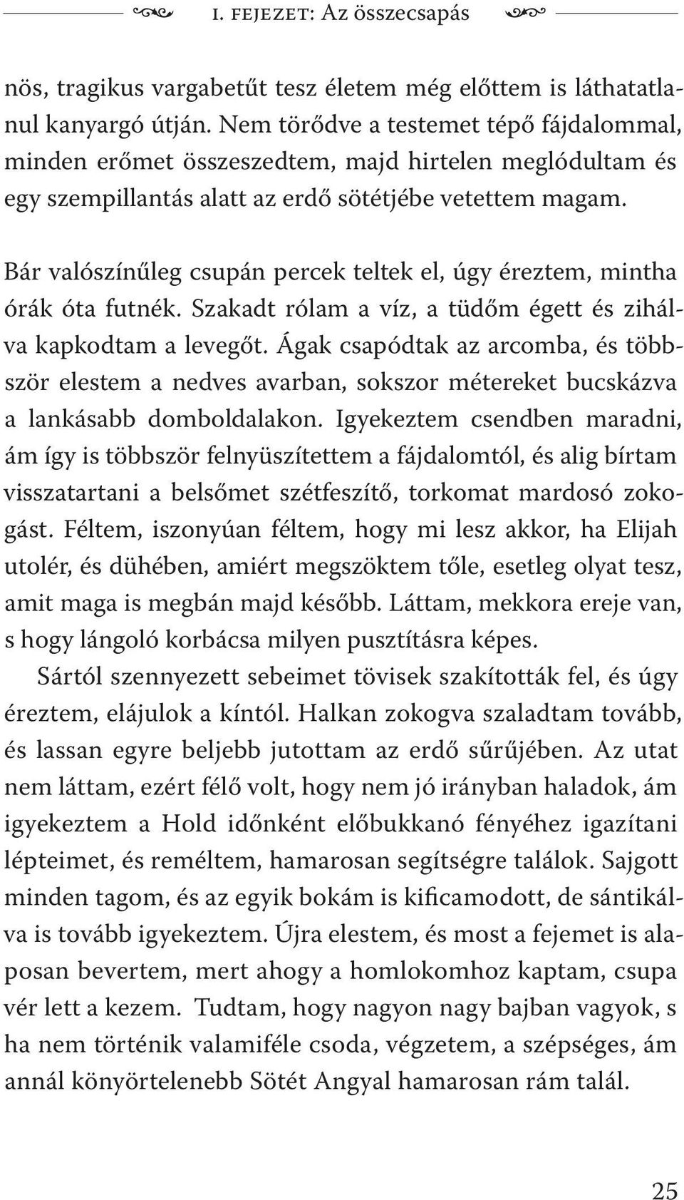 Bár valószínűleg csupán percek teltek el, úgy éreztem, mintha órák óta futnék. Szakadt rólam a víz, a tüdőm égett és zihálva kapkodtam a levegőt.