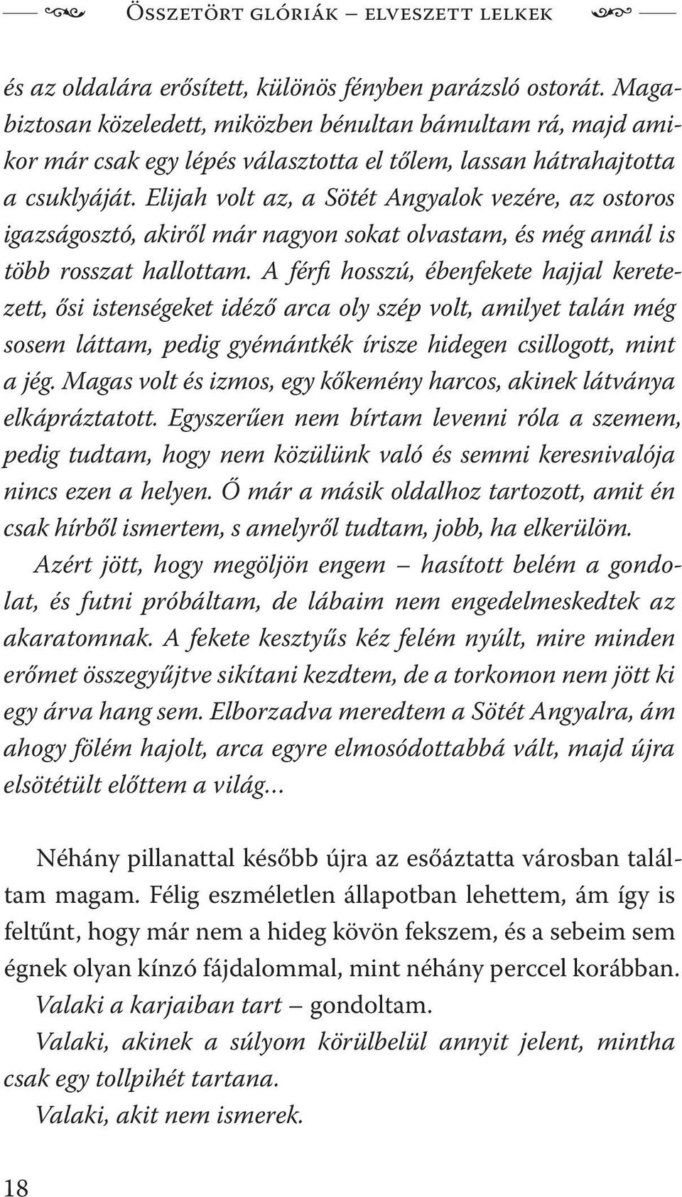 Elijah volt az, a Sötét Angyalok vezére, az ostoros igazságosztó, akiről már nagyon sokat olvastam, és még annál is több rosszat hallottam.