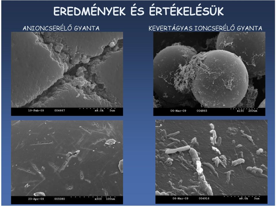 ANIONCSERÉLİ