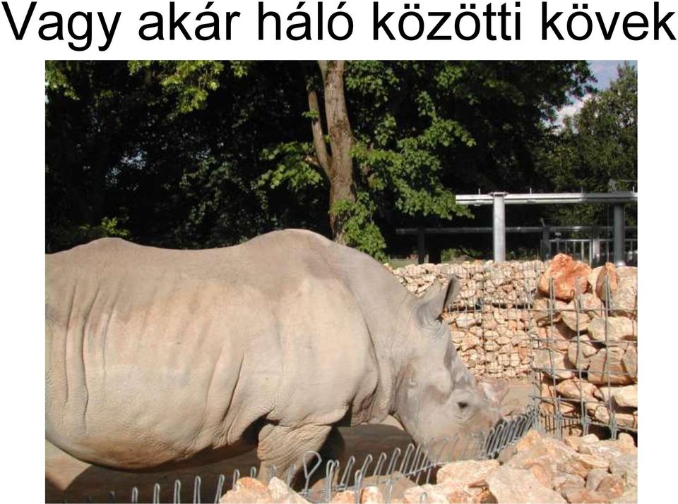 közötti