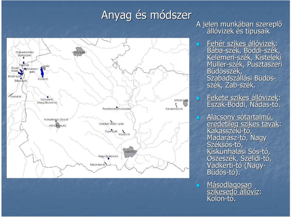 Fekete szikes állóvizek: Észak-Böddi,, NádasN das-tó.