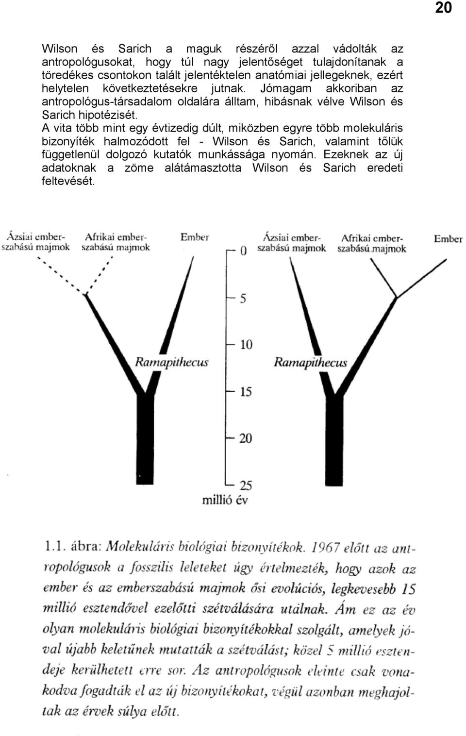 Jómagam akkoriban az antropológus-társadalom oldalára álltam, hibásnak vélve Wilson és Sarich hipotézisét.