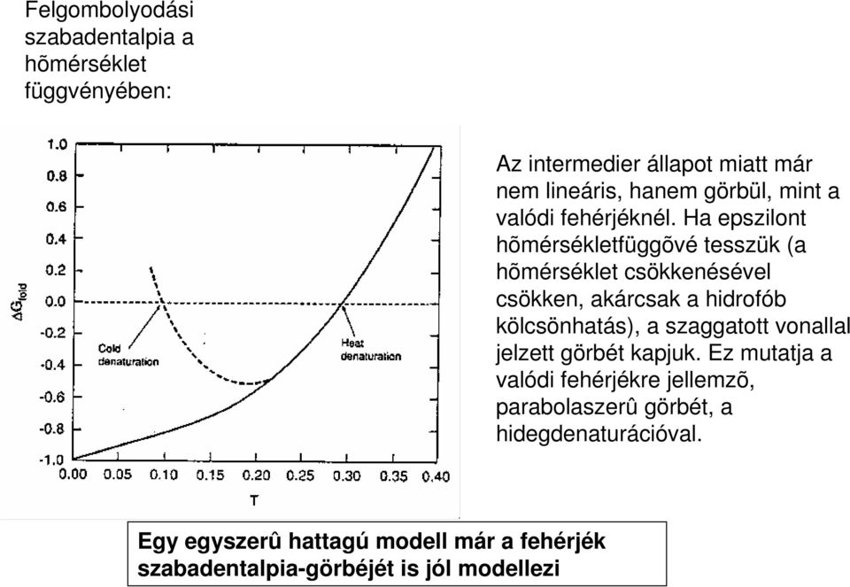 Ha epszilont hõmérsékletfüggõvé tesszük (a hõmérséklet csökkenésével csökken, akárcsak a hidrofób kölcsönhatás), a