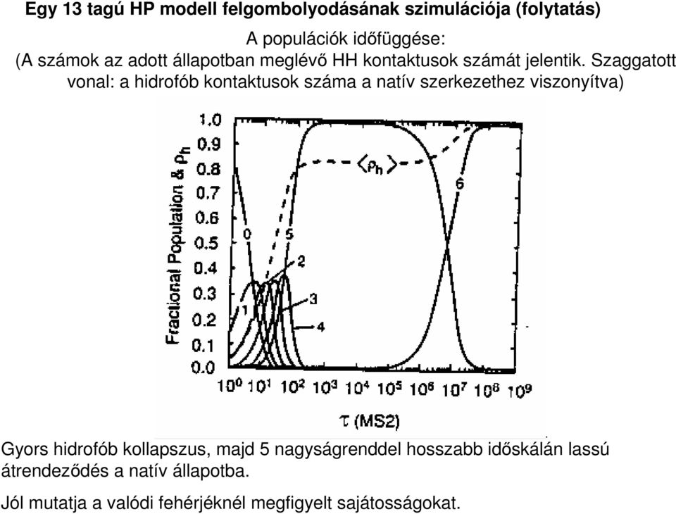 Szaggatott vonal: a hidrofób kontaktusok száma a natív szerkezethez viszonyítva) Gyors hidrofób