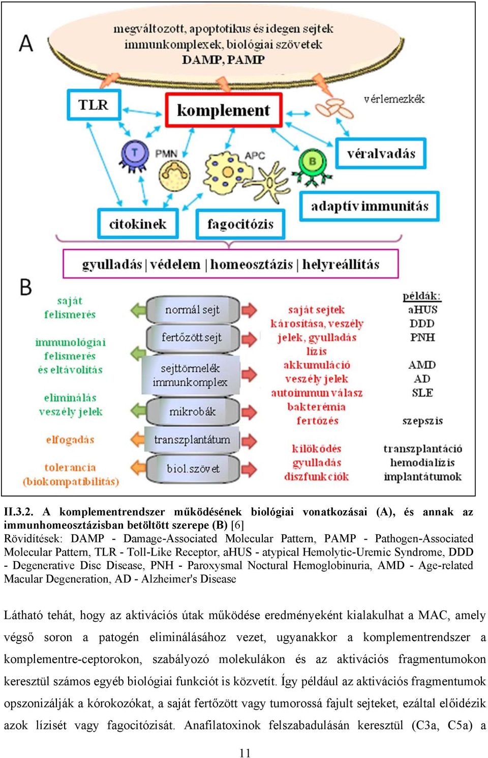 Pathogen-Associated Molecular Pattern, TLR - Toll-Like Receptor, ahus - atypical Hemolytic-Uremic Syndrome, DDD - Degenerative Disc Disease, PNH - Paroxysmal Noctural Hemoglobinuria, AMD -