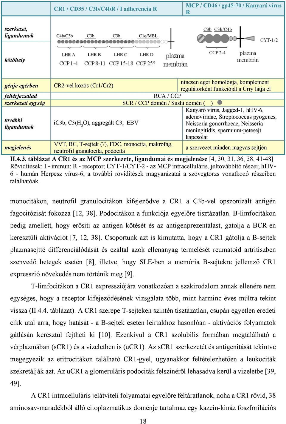 ligandumok 2 O), aggregált C3, EBV Neisseria gonorrhoeae, Neisseria meningitidis, spermium-petesejt kapcsolat megjelenés VVT, BC, T-sejtek (?