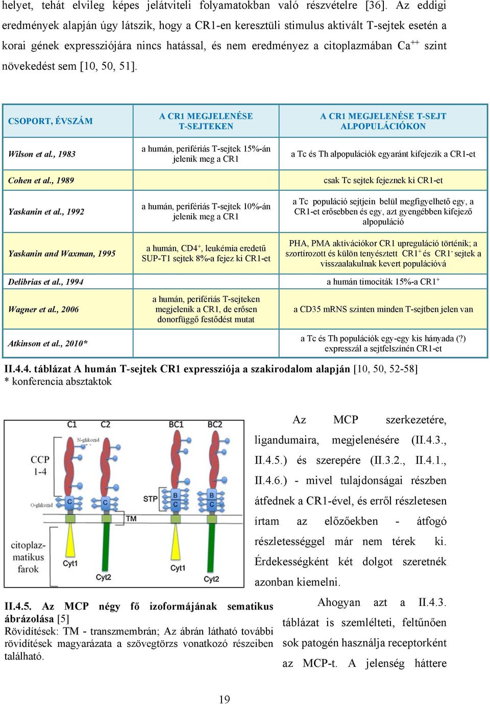 növekedést sem [10, 50, 51]. CSOPORT, ÉVSZÁM Wilson et al., 1983 Cohen et al., 1989 Yaskanin et al.