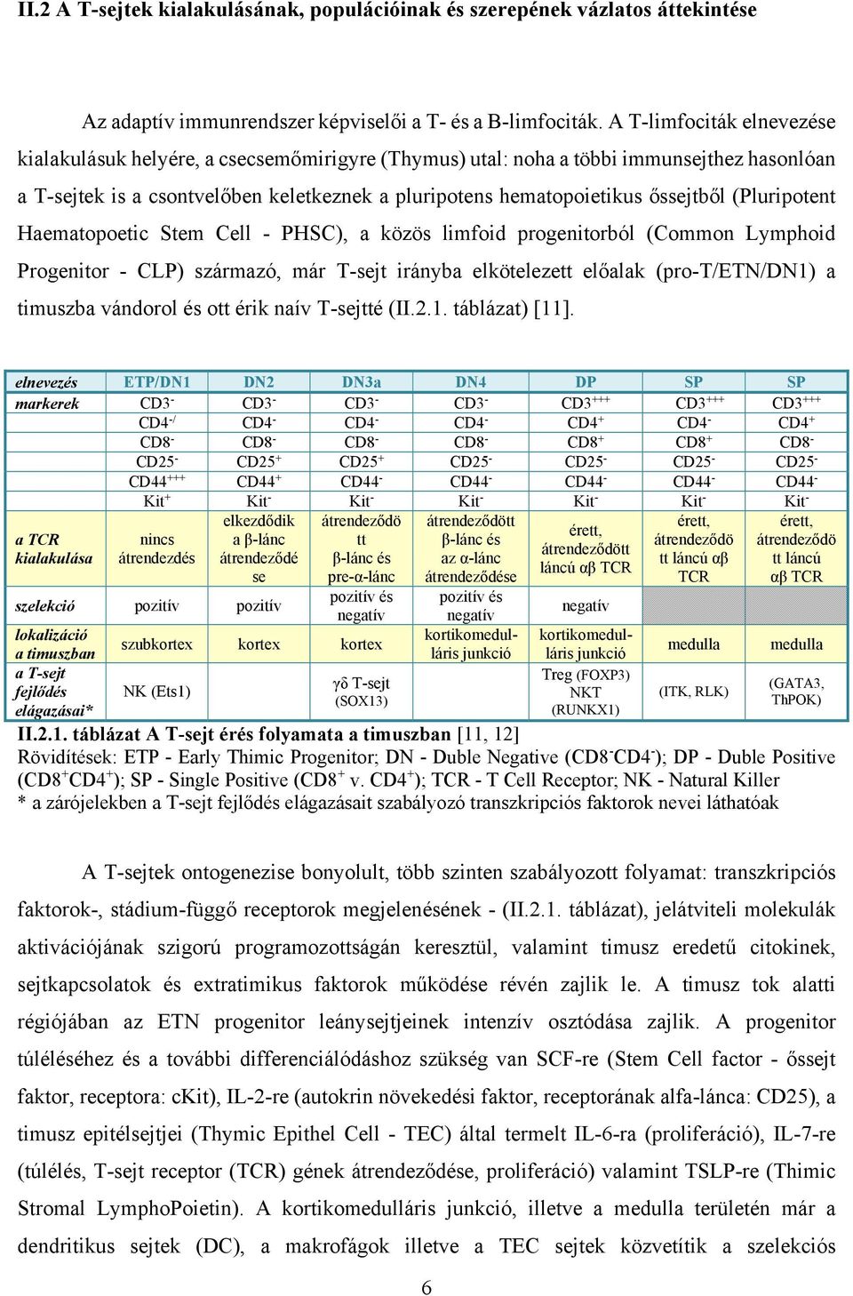 (Pluripotent Haematopoetic Stem Cell - PHSC), a közös limfoid progenitorból (Common Lymphoid Progenitor - CLP) származó, már T-sejt irányba elkötelezett előalak (pro-t/etn/dn1) a timuszba vándorol és