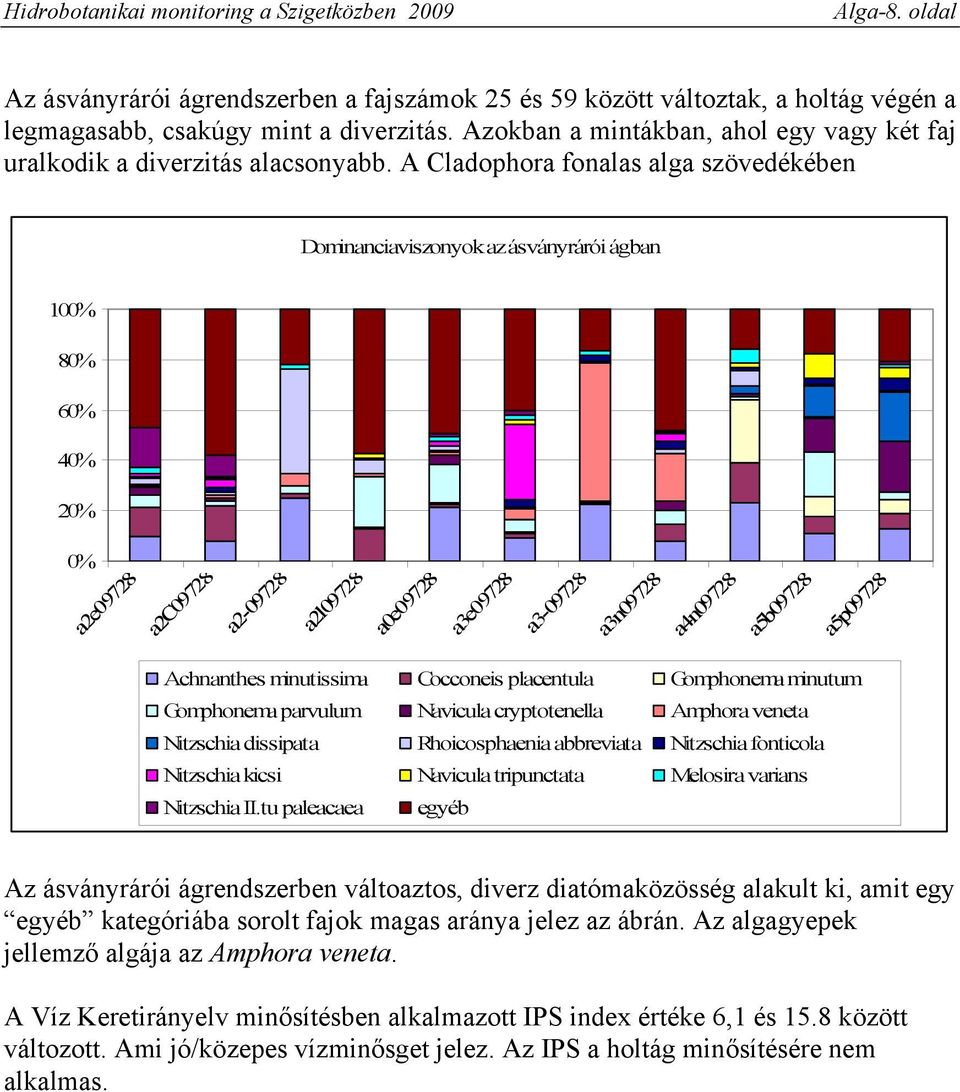 A Cladophora fonalas alga szövedékében Dominanciaviszonyok az ásványrárói ágban 100% 80% 60% 40% 20% 0% a2e09728 a2c09728 a2-09728 a2l09728 a0e09728 a3e09728 a3-09728 a3n09728 a4n09728 a5b09728