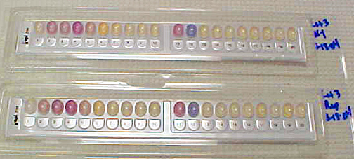 Automata identifikáló módszerek API (Analytical profile index)/id 32 (biomérieux) Gram negatívak: API20E: Enterobacteriaceae (18-24h) Rapid 20E: 4h API20NE: