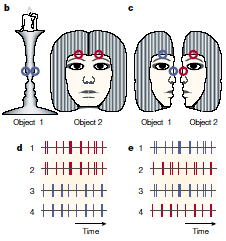 Electric activity of the