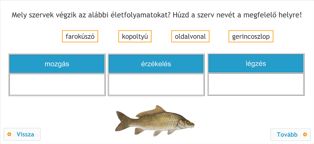 évfolyamon az élőhelyek sorában megjelenik a víz és a vízpart is. Az állatokat a megismert szervezettani fogalmak alapján tárgyaljuk (D57.