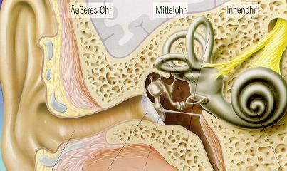 cochlearis, labyrinth commotio, fej trauma, acusticus neurinoma, neurovascularis compressio (n.viii.).