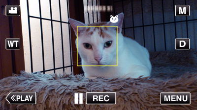 Rögzítés Háziállatok automatikus rögzítése (KEDVENC ÁLLAT FOTÓJA) A(z) KEDVENC ÁLLAT FOTÓJA egy állat, például kutya vagy macska arcának felismerésekor automatikusan rögzít egy állóképet.