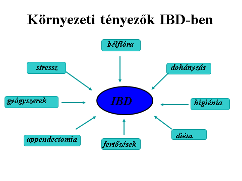 1.2.3. Környezeti tényezők A környezeti tényezők is jelentős szerepet játszanak a gyulladásos bélbetegségek kialakításában (8.ábra) 8. ábra.