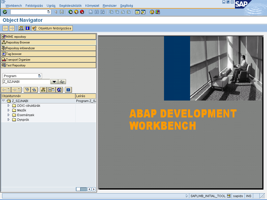 ABAP Development Workbench: Object navigator (SE80)