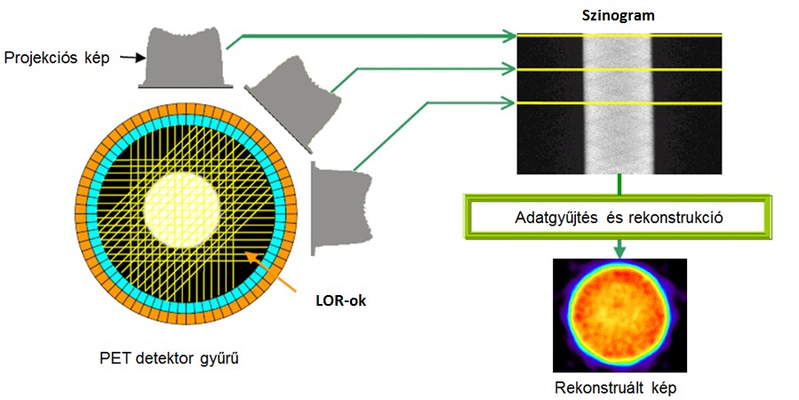 3. ábra A pozitron és az elektron annihilációs kölcsönhatásának eredménye két 511 kev energiájú foton. Az ábra idealizált módon ezt a folyamatot demonstrálja [http 2.