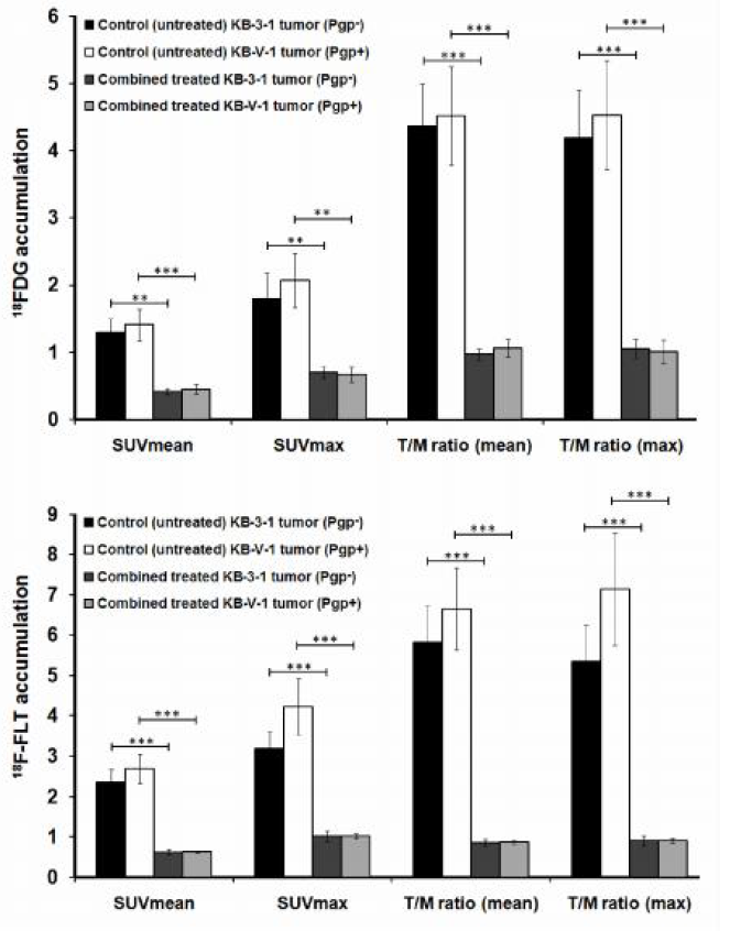 SUV max =2.96±0.6) tumorok 18 FDG felvétele esetén. Ez az állítás igaz a kezelt Pgp- (SUV mean =0.56±0.03, SUV max =0.94±0.07) és kezeletlen Pgp- (SUV mean =1.43±0.17, SUV max =2.51±0.3) tumorokra is.
