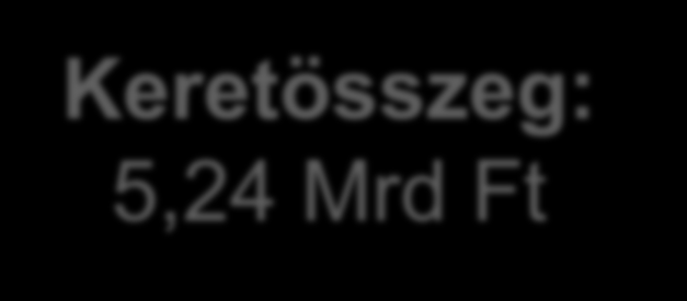 Az erdőgazdálkodási potenciálban okozott erdőkárok megelőzése Célterületek: A. Tűzpászták kialakítása vagy fenntartása B. Víznyerőhely kialakítása Várható megjelenés: 2016. december C.