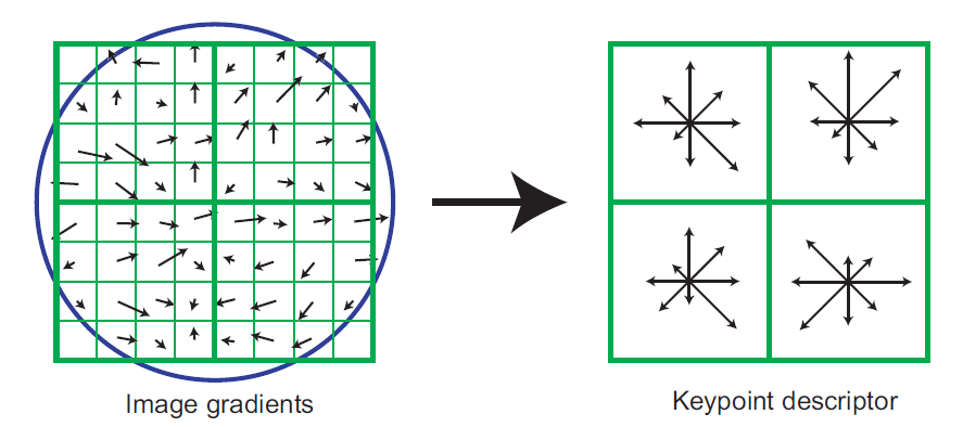 Képosztályozás 2.2.2. A SIFT LEÍRÓ A képosztályozó algoritmusban kizárólag SIFT (Scale Invariant Feature Transform) leírót használok, mint alacsony szintű leíró. A módszert David G.