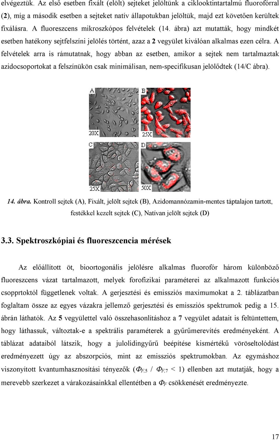 A felvételek arra is rámutatnak, hogy abban az esetben, amikor a sejtek nem tartalmaztak azidocsoportokat a felszínükön csak minimálisan, nem-specifikusan jelölődtek (14/C ábra)