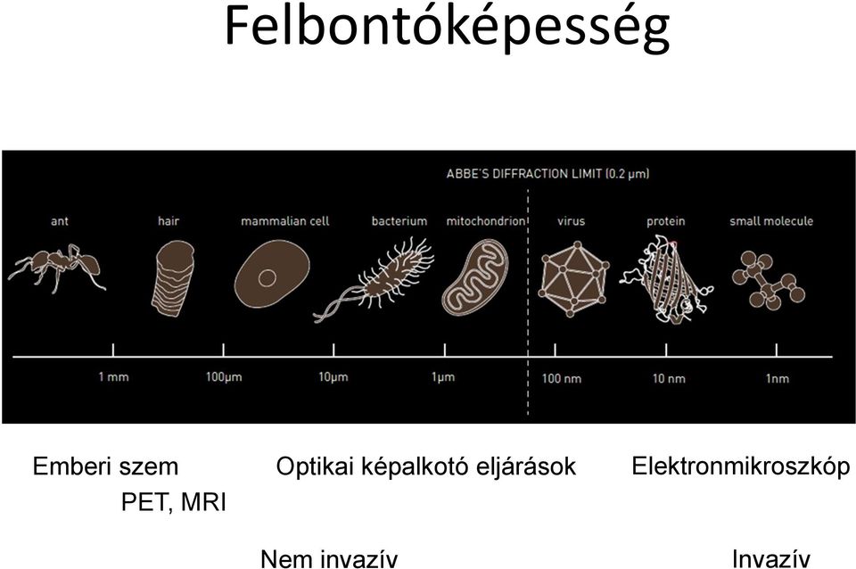 képalkotó eljárások Nem