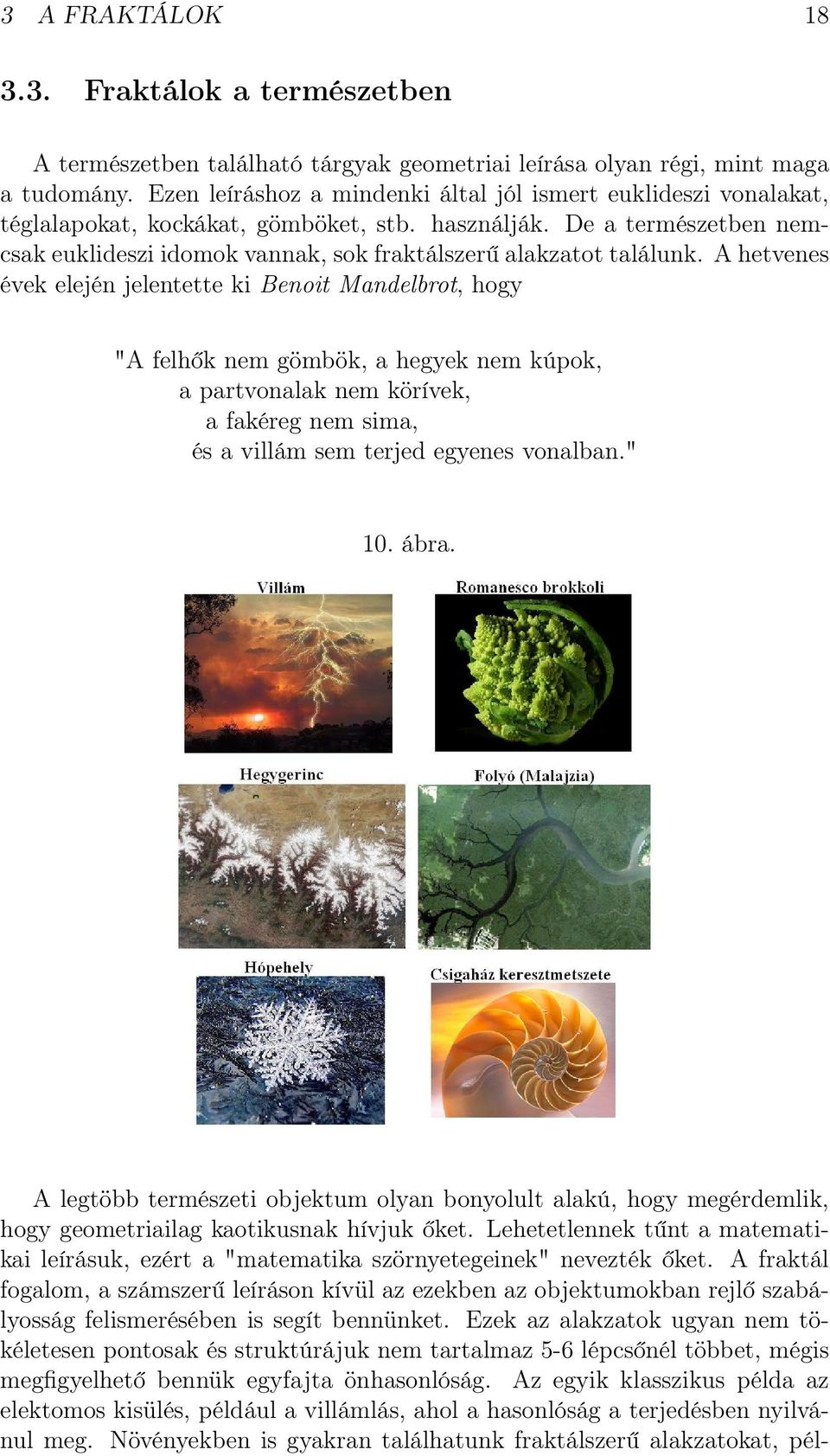 De a természetben nemcsak euklideszi idomok vannak, sok fraktálszerű alakzatot találunk.