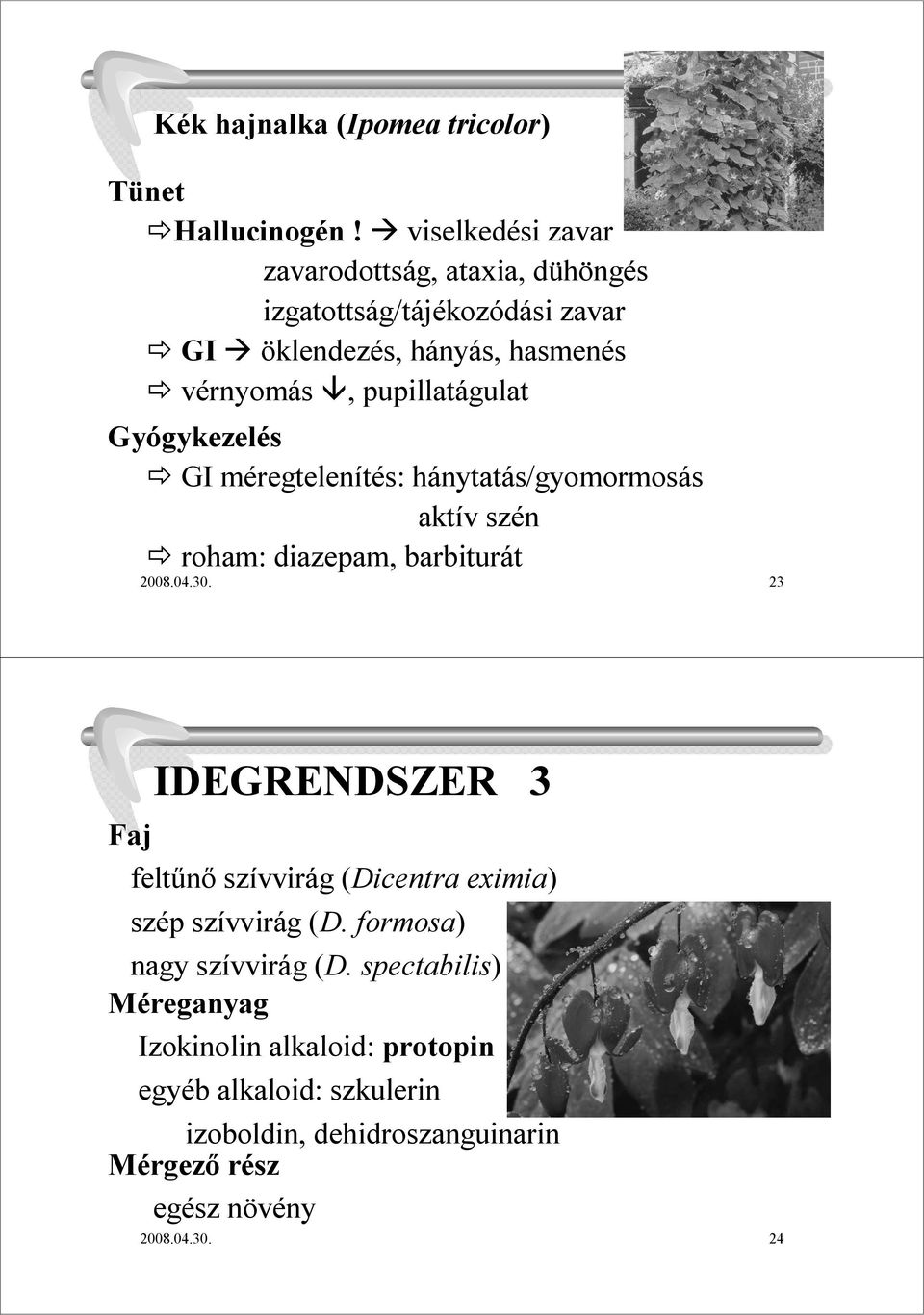 vérnyomás, pupillatágulat : hánytatás/gyomormosás aktív szén roham: diazepam, barbiturát 2008.04.30.