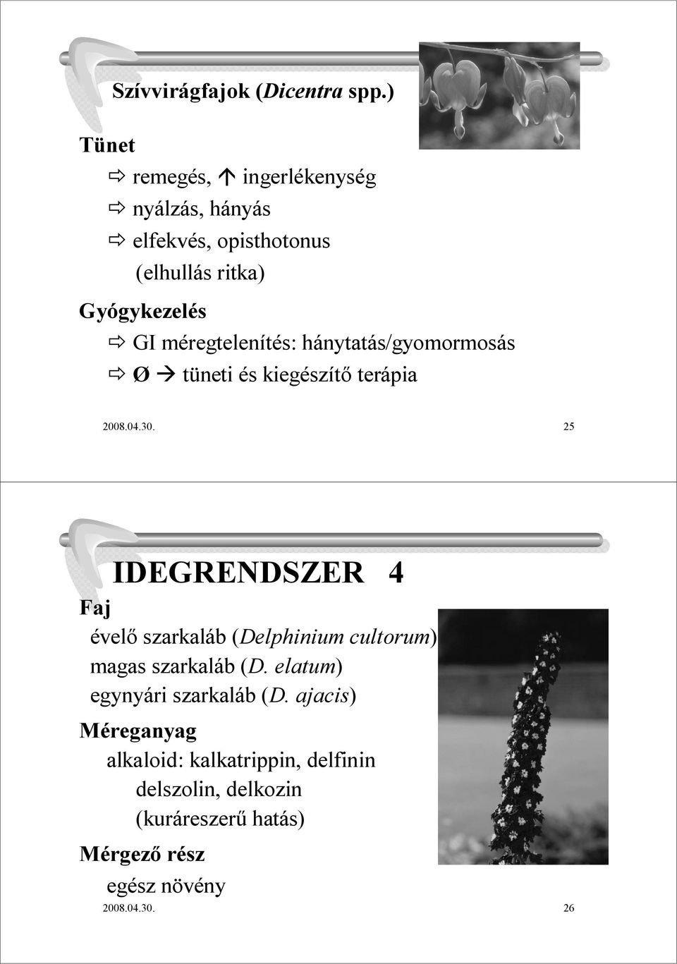 hánytatás/gyomormosás Ø tüneti és kiegészítı terápia 2008.04.30.