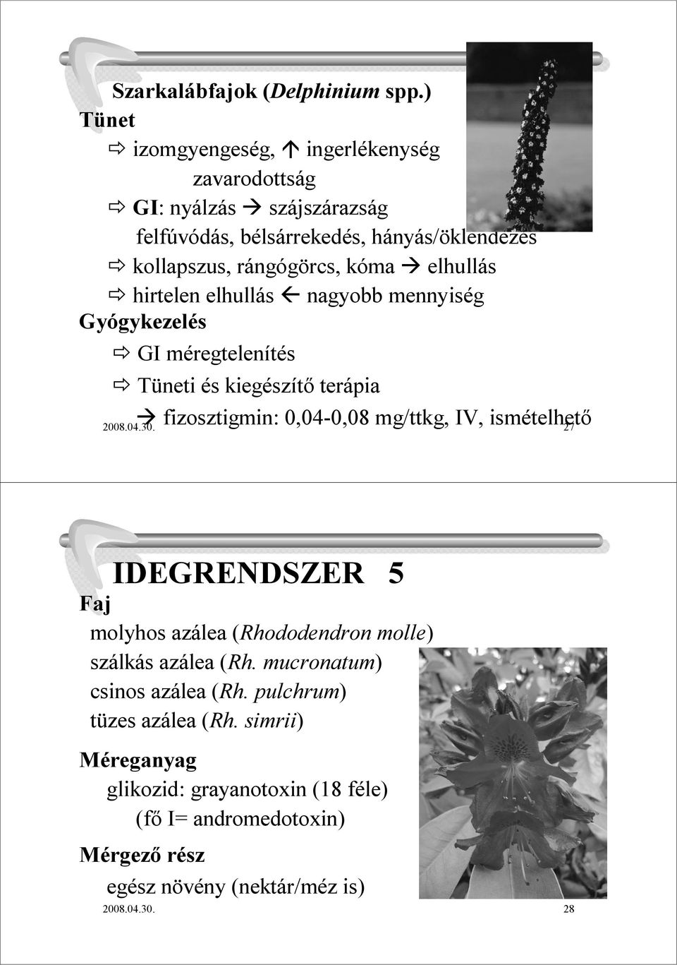 rángógörcs, kóma elhullás hirtelen elhullás nagyobb mennyiség i és kiegészítı terápia fizosztigmin: 0,04-0,08 mg/ttkg, IV, ismételhetı