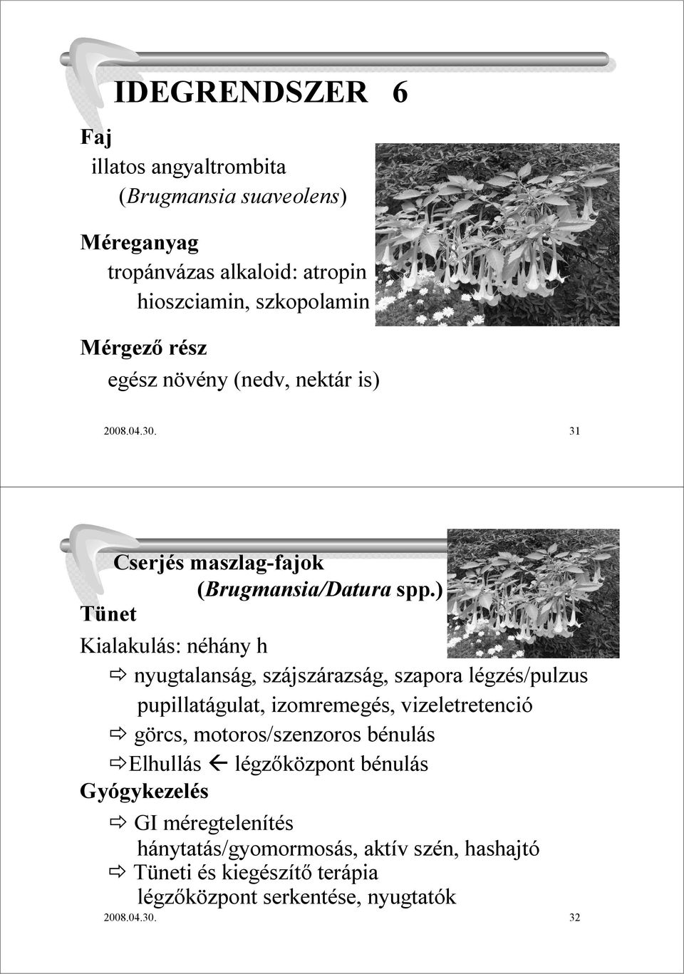 ) Kialakulás: néhány h nyugtalanság, szájszárazság, szapora légzés/pulzus pupillatágulat, izomremegés, vizeletretenció görcs,