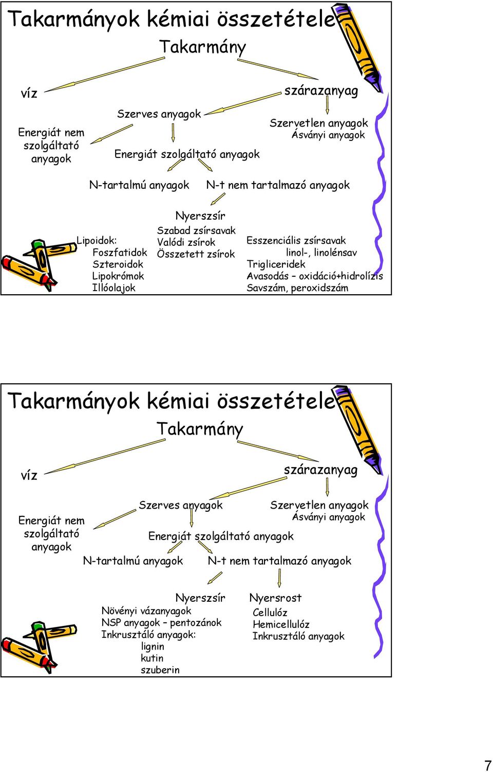 Trigliceridek Avasodás oxidáció+hidrolízis Savszám, peroxidszám ok kémiai összetétele Szerves N-tartalmú Energiát Szervetlen