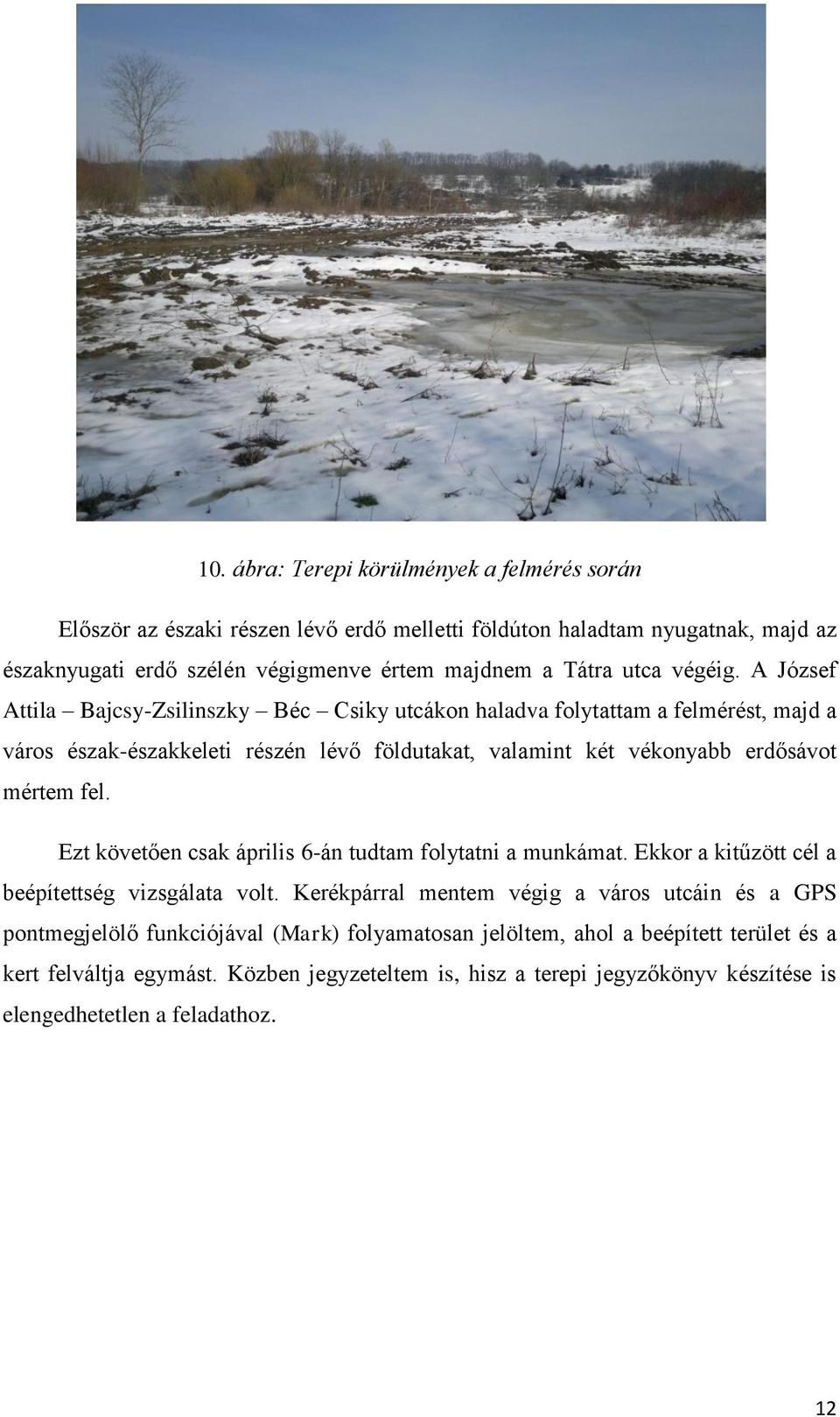 A József Attila Bajcsy-Zsilinszky Béc Csiky utcákon haladva folytattam a felmérést, majd a város észak-északkeleti részén lévő földutakat, valamint két vékonyabb erdősávot mértem fel.