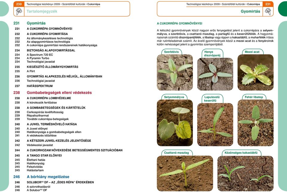 Technológiai javaslat 237 Hatásspektrum A cukorrépa gyomnövényei A kétszikû gyomnövények közül nagyon erôs fenyegetést jelent a cukorrépára a selyemmályva, a szerbtövis, a csattanó maszlag, a