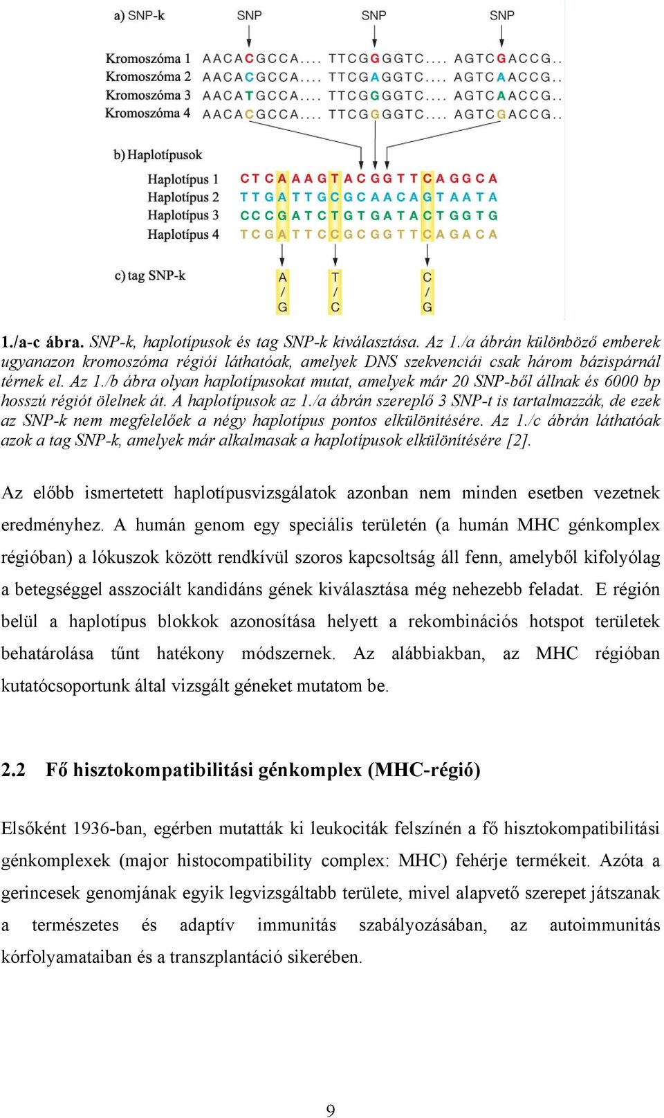 /c ábrán láthatóak azok a tag SNP-k, amelyek már alkalmasak a haplotípusok elkülönítésére [2]. Az előbb ismertetett haplotípusvizsgálatok azonban nem minden esetben vezetnek eredményhez.