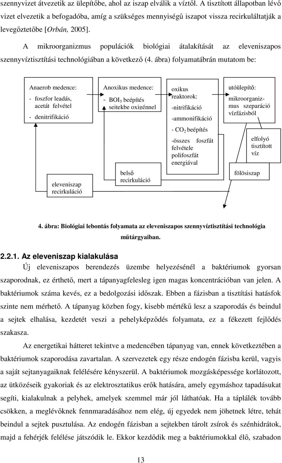 A mikroorganizmus populációk biológiai átalakítását az eleveniszapos szennyvíztisztítási technológiában a következı (4.